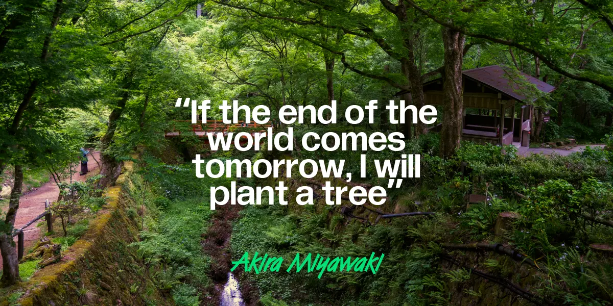 Reforesting the Earth Sounds Too Big? How About Planting Your Own Mini Forest?