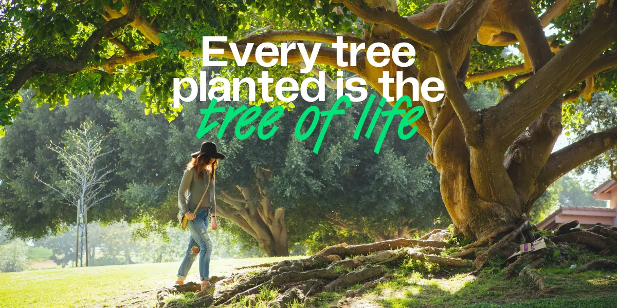 The Tree of Life. An Inspiring Story of Reforestation Effort